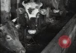 Standbild Stalin Kolchose Landwirte Frühjahrspflanzung Rostov Russland, 1947, aus Sekunde 52 historischem Filmmaterial Videoclip 65675032352