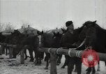 Standbild Stalin Kolchose Landwirte Frühjahrspflanzung Rostov Russland, 1947, aus Sekunde 55 historischem Filmmaterial Videoclip 65675032352