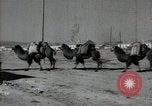 Standbild Bergbau von Phosphor Düngemittelherstellung Kasachstan, 1947, aus Sekunde 14 historischem Filmmaterial Videoclip 65675032353
