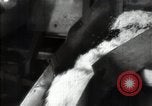Standbild Rübenkolchose  Kiew Ukraine, 1947, aus Sekunde 25 historischem Filmmaterial Videoclip 65675032359