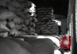 Standbild Rübenkolchose  Kiew Ukraine, 1947, aus Sekunde 62 historischem Filmmaterial Videoclip 65675032359