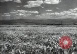 Standbild Sowjetische Bauern ernten Turkmenistan, 1949, aus Sekunde 15 historischem Filmmaterial Videoclip 65675032367