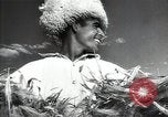 Standbild Sowjetische Bauern ernten Turkmenistan, 1949, aus Sekunde 18 historischem Filmmaterial Videoclip 65675032367