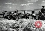 Standbild Sowjetische Bauern ernten Turkmenistan, 1949, aus Sekunde 36 historischem Filmmaterial Videoclip 65675032367