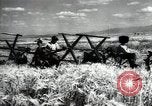 Standbild Sowjetische Bauern ernten Turkmenistan, 1949, aus Sekunde 37 historischem Filmmaterial Videoclip 65675032367