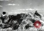 Standbild Sowjetische Bauern ernten Turkmenistan, 1949, aus Sekunde 41 historischem Filmmaterial Videoclip 65675032367