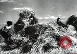 Standbild Sowjetische Bauern ernten Turkmenistan, 1949, aus Sekunde 42 historischem Filmmaterial Videoclip 65675032367