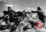 Standbild Sowjetische Bauern ernten Turkmenistan, 1949, aus Sekunde 44 historischem Filmmaterial Videoclip 65675032367