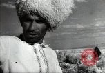Standbild Sowjetische Bauern ernten Turkmenistan, 1949, aus Sekunde 61 historischem Filmmaterial Videoclip 65675032367