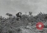 Immagine di Repubblica di Corea (ROK) truppe Corea, 1952, secondo 14 filmato di repertorio 65675032373