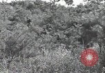 Immagine di Repubblica di Corea (ROK) truppe Corea, 1952, secondo 19 filmato di repertorio 65675032373
