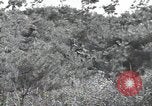 Immagine di Repubblica di Corea (ROK) truppe Corea, 1952, secondo 20 filmato di repertorio 65675032373