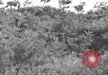 Immagine di Repubblica di Corea (ROK) truppe Corea, 1952, secondo 21 filmato di repertorio 65675032373