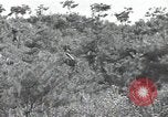 Immagine di Repubblica di Corea (ROK) truppe Corea, 1952, secondo 22 filmato di repertorio 65675032373