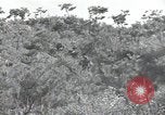 Immagine di Repubblica di Corea (ROK) truppe Corea, 1952, secondo 24 filmato di repertorio 65675032373