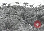 Immagine di Repubblica di Corea (ROK) truppe Corea, 1952, secondo 25 filmato di repertorio 65675032373