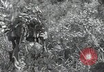 Immagine di Repubblica di Corea (ROK) truppe Corea, 1952, secondo 28 filmato di repertorio 65675032373