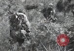 Immagine di Repubblica di Corea (ROK) truppe Corea, 1952, secondo 30 filmato di repertorio 65675032373