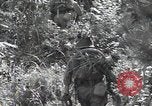 Immagine di Repubblica di Corea (ROK) truppe Corea, 1952, secondo 31 filmato di repertorio 65675032373