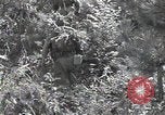 Immagine di Repubblica di Corea (ROK) truppe Corea, 1952, secondo 32 filmato di repertorio 65675032373