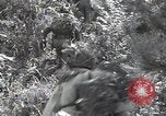 Immagine di Repubblica di Corea (ROK) truppe Corea, 1952, secondo 33 filmato di repertorio 65675032373