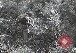 Immagine di Repubblica di Corea (ROK) truppe Corea, 1952, secondo 34 filmato di repertorio 65675032373