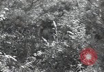 Immagine di Repubblica di Corea (ROK) truppe Corea, 1952, secondo 35 filmato di repertorio 65675032373