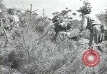 Immagine di Repubblica di Corea (ROK) truppe Corea, 1952, secondo 38 filmato di repertorio 65675032373