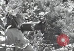 Immagine di Repubblica di Corea (ROK) truppe Corea, 1952, secondo 55 filmato di repertorio 65675032373