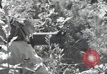 Immagine di Repubblica di Corea (ROK) truppe Corea, 1952, secondo 56 filmato di repertorio 65675032373