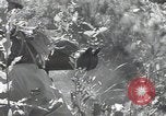 Immagine di Repubblica di Corea (ROK) truppe Corea, 1952, secondo 57 filmato di repertorio 65675032373