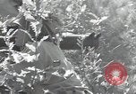 Immagine di Repubblica di Corea (ROK) truppe Corea, 1952, secondo 62 filmato di repertorio 65675032373