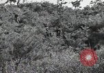 Image République de Corée des troupes United States USA, 1953, de la seconde 21 séquences d'archives historiques vidéo 65675032381