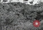 Image République de Corée des troupes United States USA, 1953, de la seconde 22 séquences d'archives historiques vidéo 65675032381