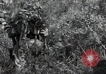 Image République de Corée des troupes United States USA, 1953, de la seconde 28 séquences d'archives historiques vidéo 65675032381