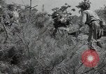 Image République de Corée des troupes United States USA, 1953, de la seconde 38 séquences d'archives historiques vidéo 65675032381