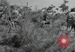 Image République de Corée des troupes United States USA, 1953, de la seconde 39 séquences d'archives historiques vidéo 65675032381