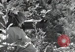 Image République de Corée des troupes United States USA, 1953, de la seconde 54 séquences d'archives historiques vidéo 65675032381