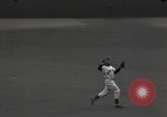 Immagine di Joe Dimaggio New York City USA, 1951, secondo 10 filmato di repertorio 65675032385