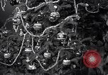 Immagine di Albero di Natale decorato e Bambina con bambola United States USA, 1951, secondo 3 filmato di repertorio 65675032403