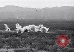 Image of Montage of SAC operations United States USA, 1952, second 6 stock footage video 65675032422