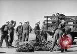 Image Convair B-36 Roswell New Mexico USA, 1953, de la seconde 19 séquences d'archives historiques vidéo 65675032437