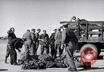 Image Convair B-36 Roswell New Mexico USA, 1953, de la seconde 20 séquences d'archives historiques vidéo 65675032437