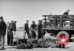 Image Convair B-36 Roswell New Mexico USA, 1953, de la seconde 22 séquences d'archives historiques vidéo 65675032437