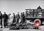 Image Convair B-36 Roswell New Mexico USA, 1953, de la seconde 23 séquences d'archives historiques vidéo 65675032437