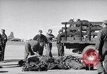Image Convair B-36 Roswell New Mexico USA, 1953, de la seconde 25 séquences d'archives historiques vidéo 65675032437