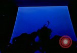 Standbild Weltraumkapsel Hickham Field Honolulu Hawaii USA, 1960, aus Sekunde 42 historischem Filmmaterial Videoclip 65675032439