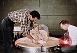 Standbild fotografische Gondel United States USA, 1958, aus Sekunde 15 historischem Filmmaterial Videoclip 65675032443