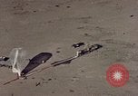 Immagine di Gondola fotografico United States USA, 1958, secondo 43 filmato di repertorio 65675032444