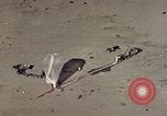 Immagine di Gondola fotografico United States USA, 1958, secondo 44 filmato di repertorio 65675032444